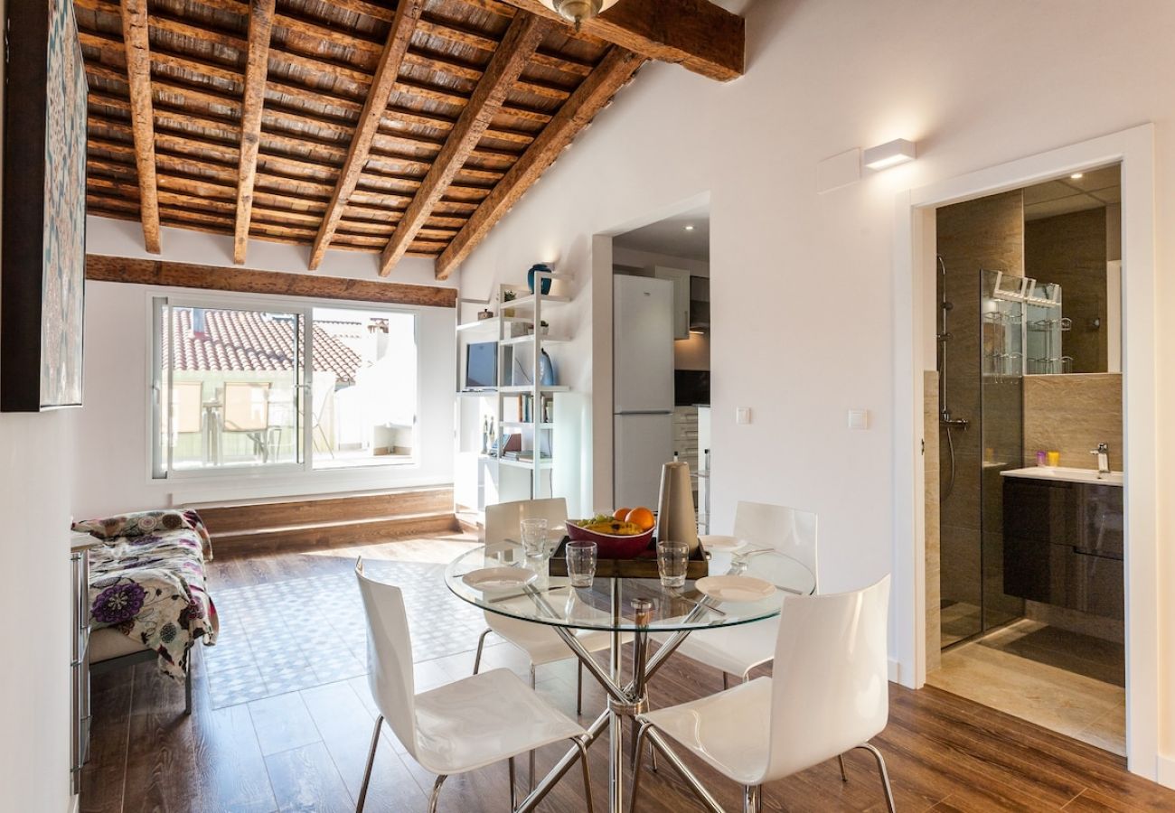 Apartment in Valencia / València - CENTER-2BR, 2BA-ATTIC-TERRACE,VIEW, WI-FI, A/C 