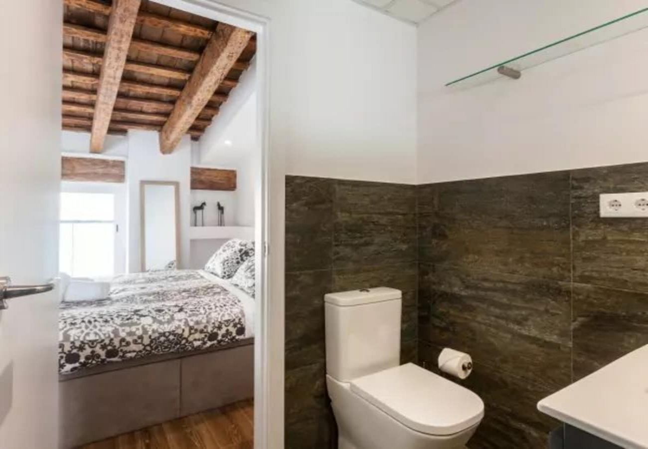 Appartement à Valence / Valencia - CENTER-2BR, 2BA-ATTIC-TERRACE,VIEW, WI-FI, A/C 