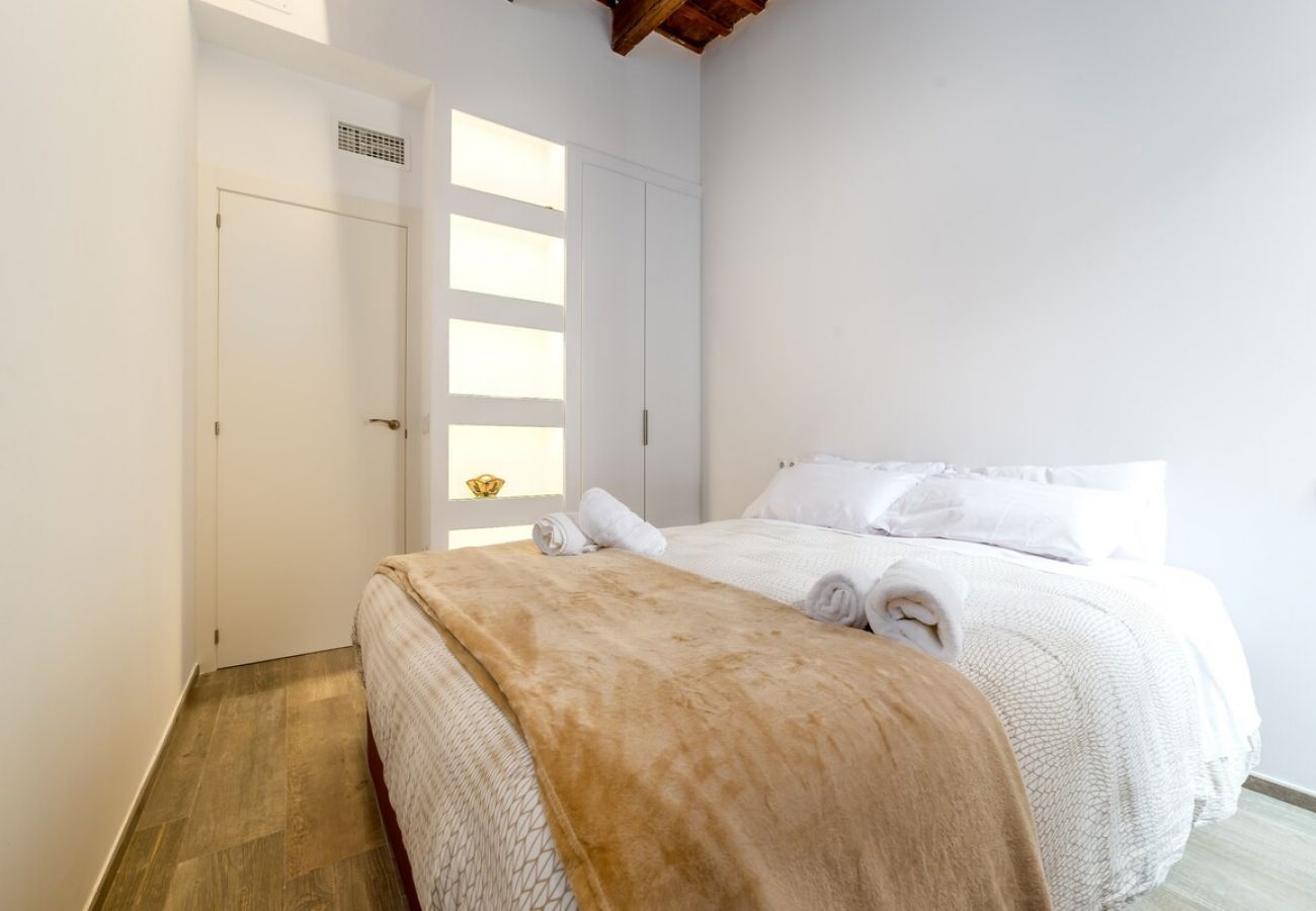 Appartement à Valence / Valencia -  CATHEDRAL LUXURY TERRACE FLAT 2BR,2BA, A\C,Wifi
