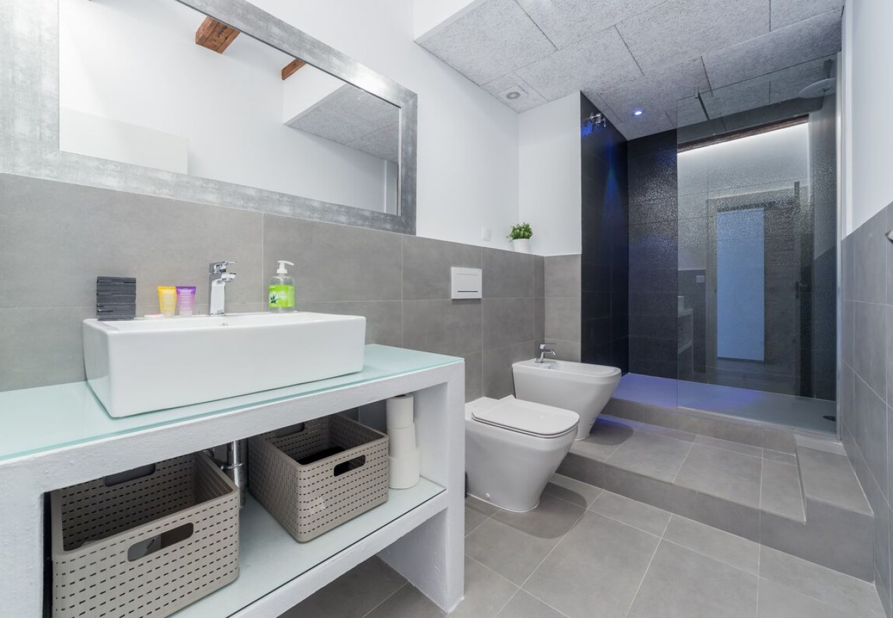 Appartement à Valence / Valencia -  CATHEDRAL LUXURY TERRACE FLAT 2BR,2BA, A\C,Wifi