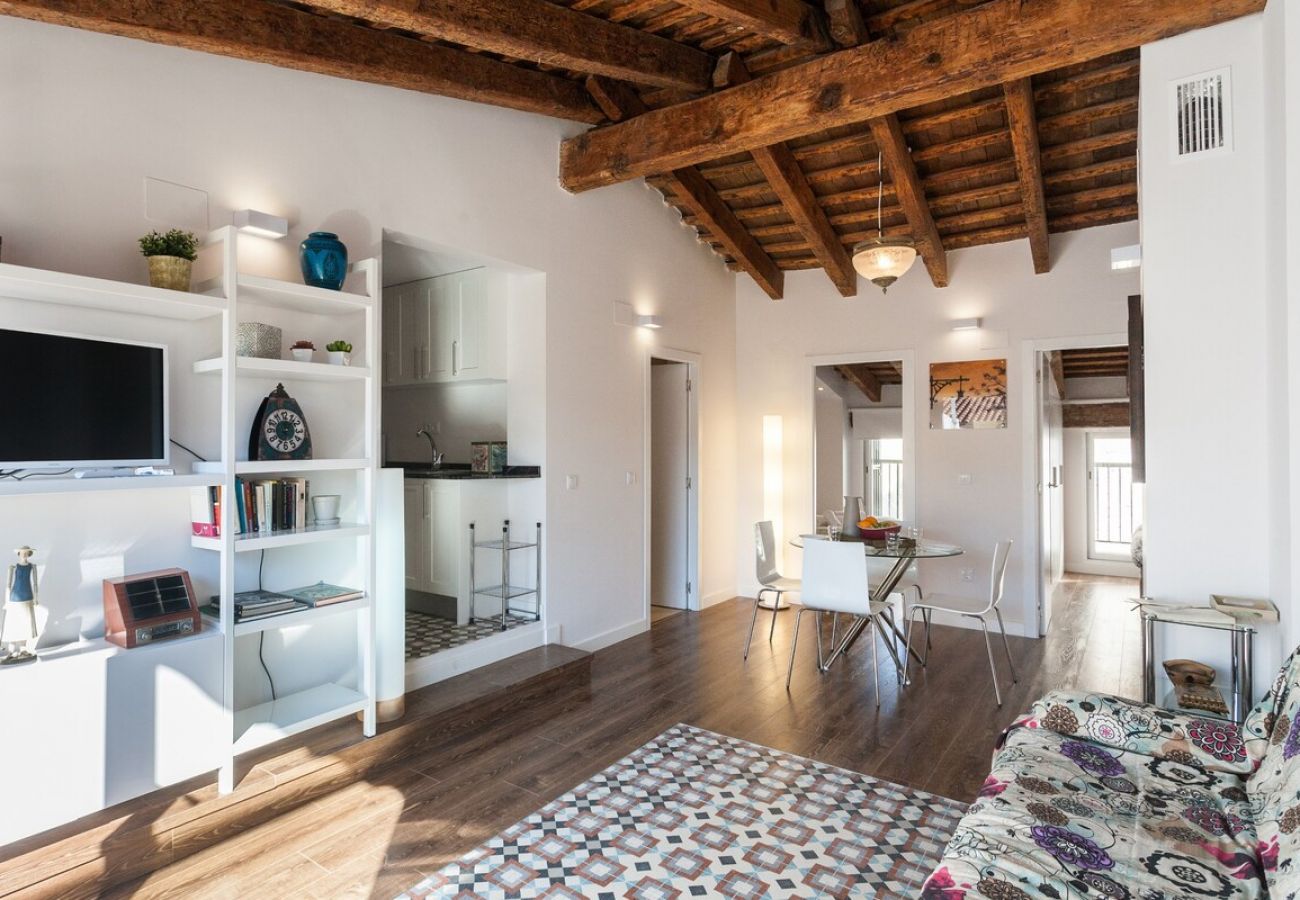 Appartamento a Valencia / València - CENTER-2BR, 2BA-ATTIC-TERRACE,VIEW, WI-FI, A/C 