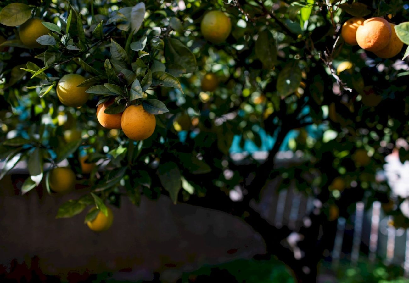 Villetta a L´Eliana - Villa Citrus Garden | 5 Huéspedes | Piscina & BBQ