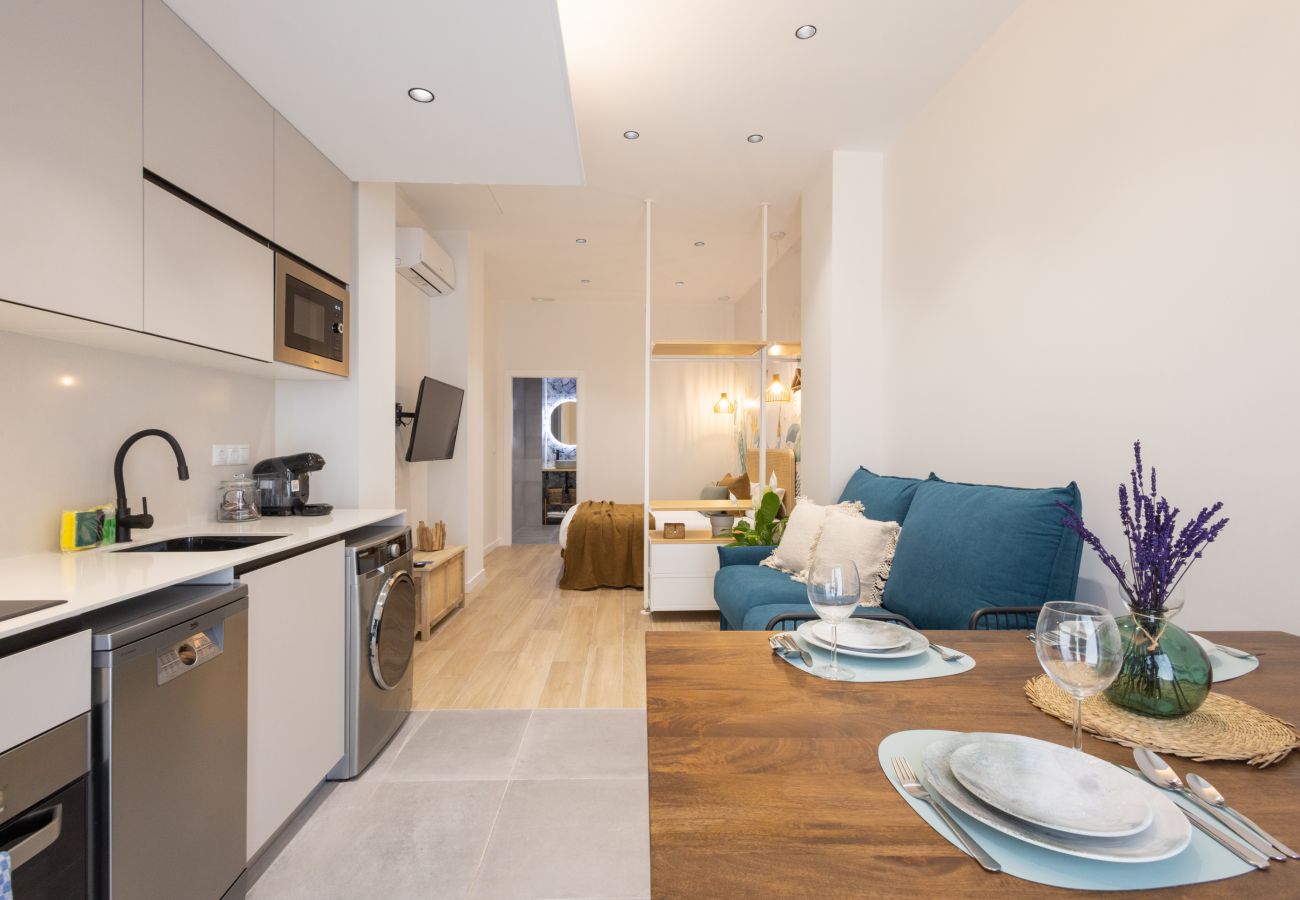 Studio a Valencia / València - Turia Park Loft I |  4 Viajeros | AC and WiFi | Near ZOO