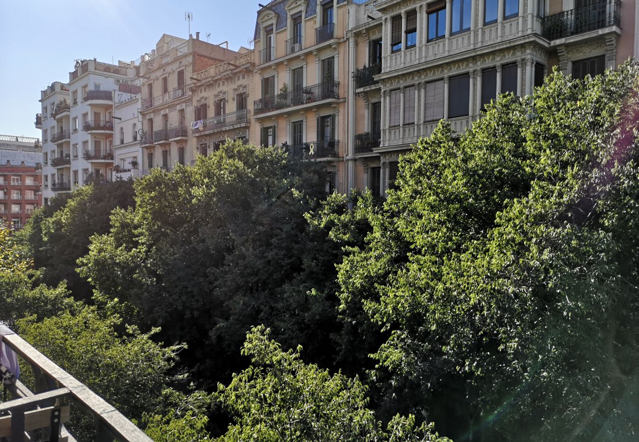 Appartement in Barcelona - CALABRIA, piso amplio ideal familias o grupos en Eixample, Barcelona centro