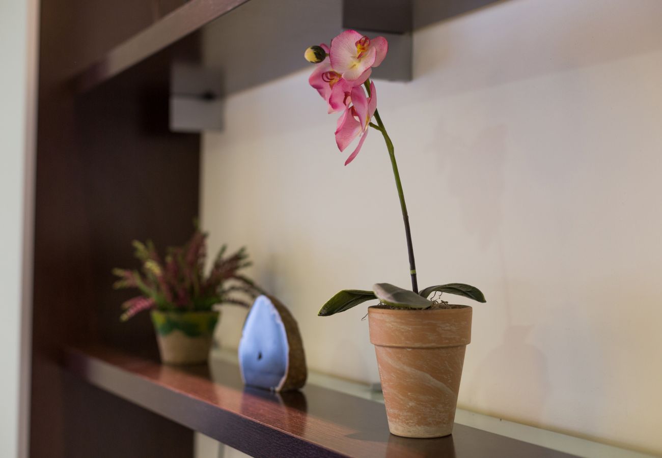 Appartement in Barcelona - MARQUES, moderno piso renovado de 4 dormitorios en alquiler por días en Barcelona centro, Eixample, Sant Antoni.