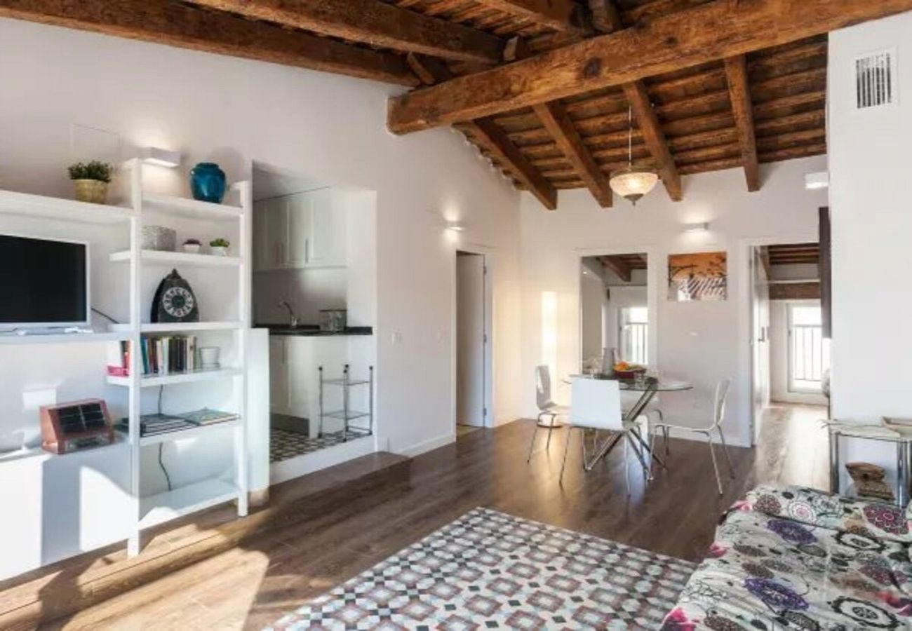 Appartement in Valencia - CENTER-2BR, 2BA-ATTIC-TERRACE,VIEW, WI-FI, A/C 