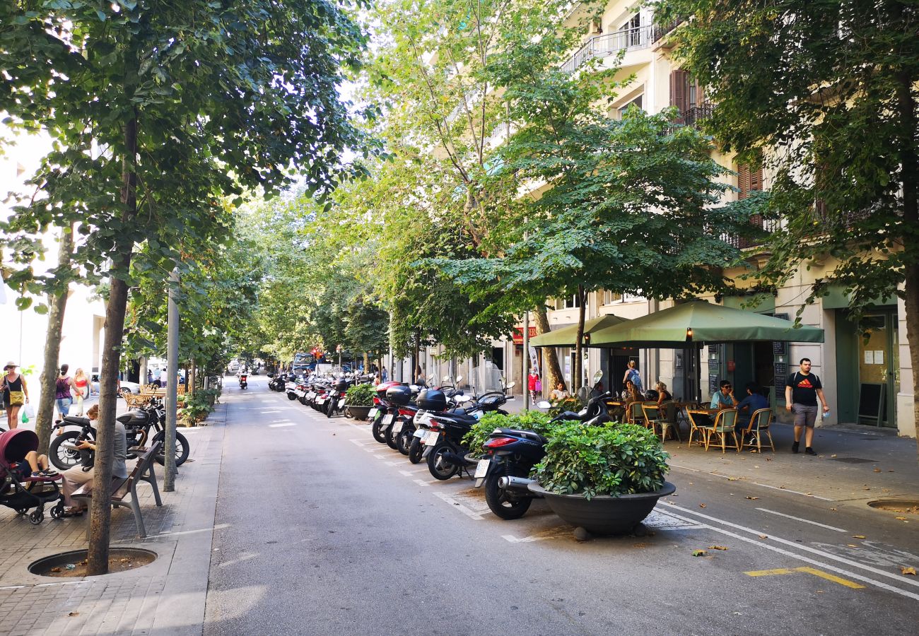 Appartement in Barcelona - EIXAMPLE CENTER NEXT TO PASSEIG GRACIA