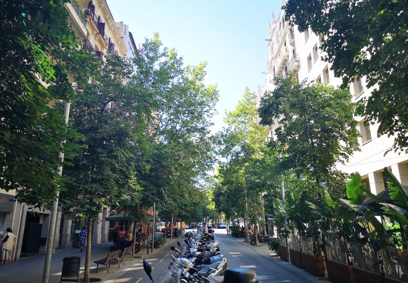 Appartement in Barcelona - EIXAMPLE CENTER NEXT TO PASSEIG GRACIA