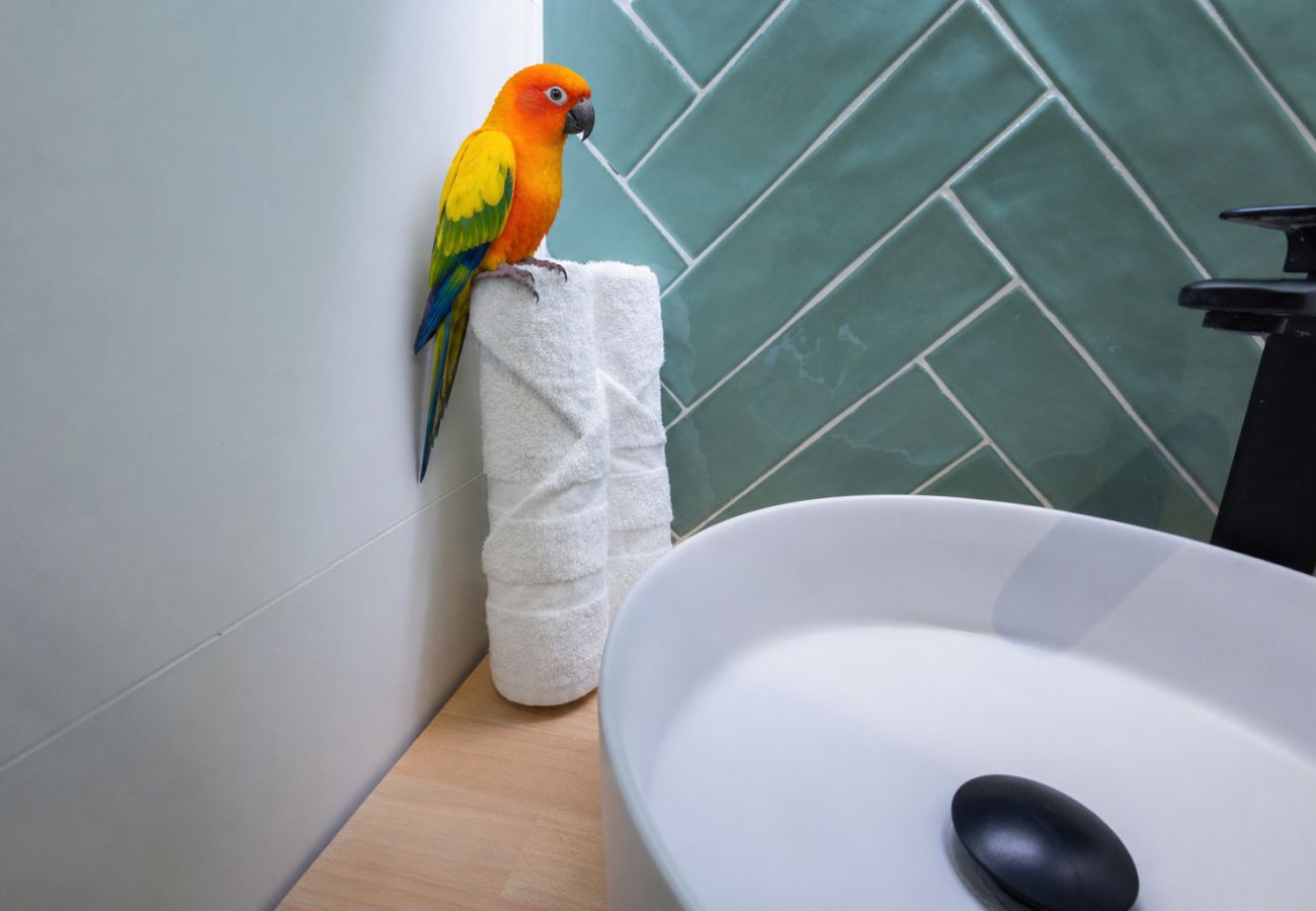 Appartement in Valencia - Pirate Studio I | 2 Viajeros | 15 min Oceanografic